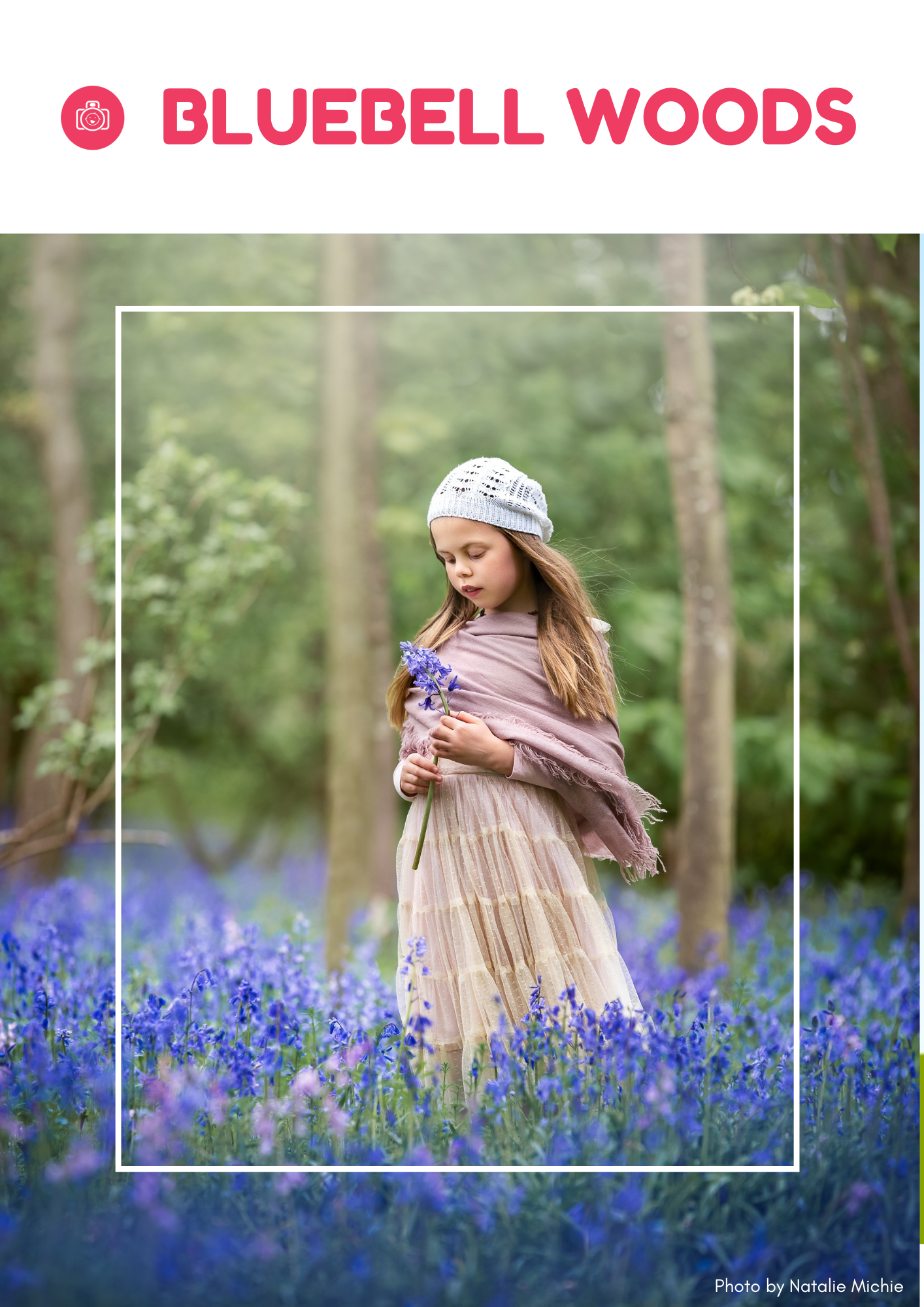 BLUEBELL WOODS