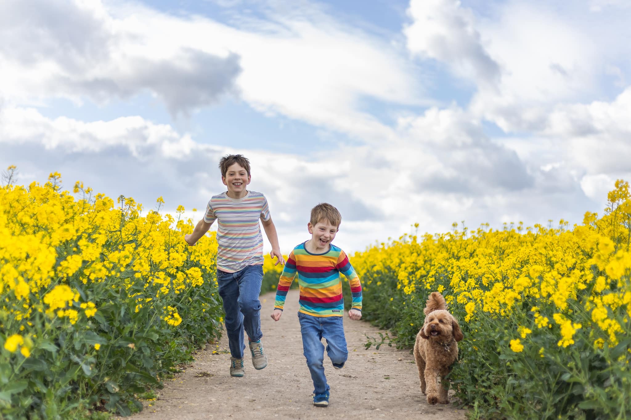 kids running through flower fields