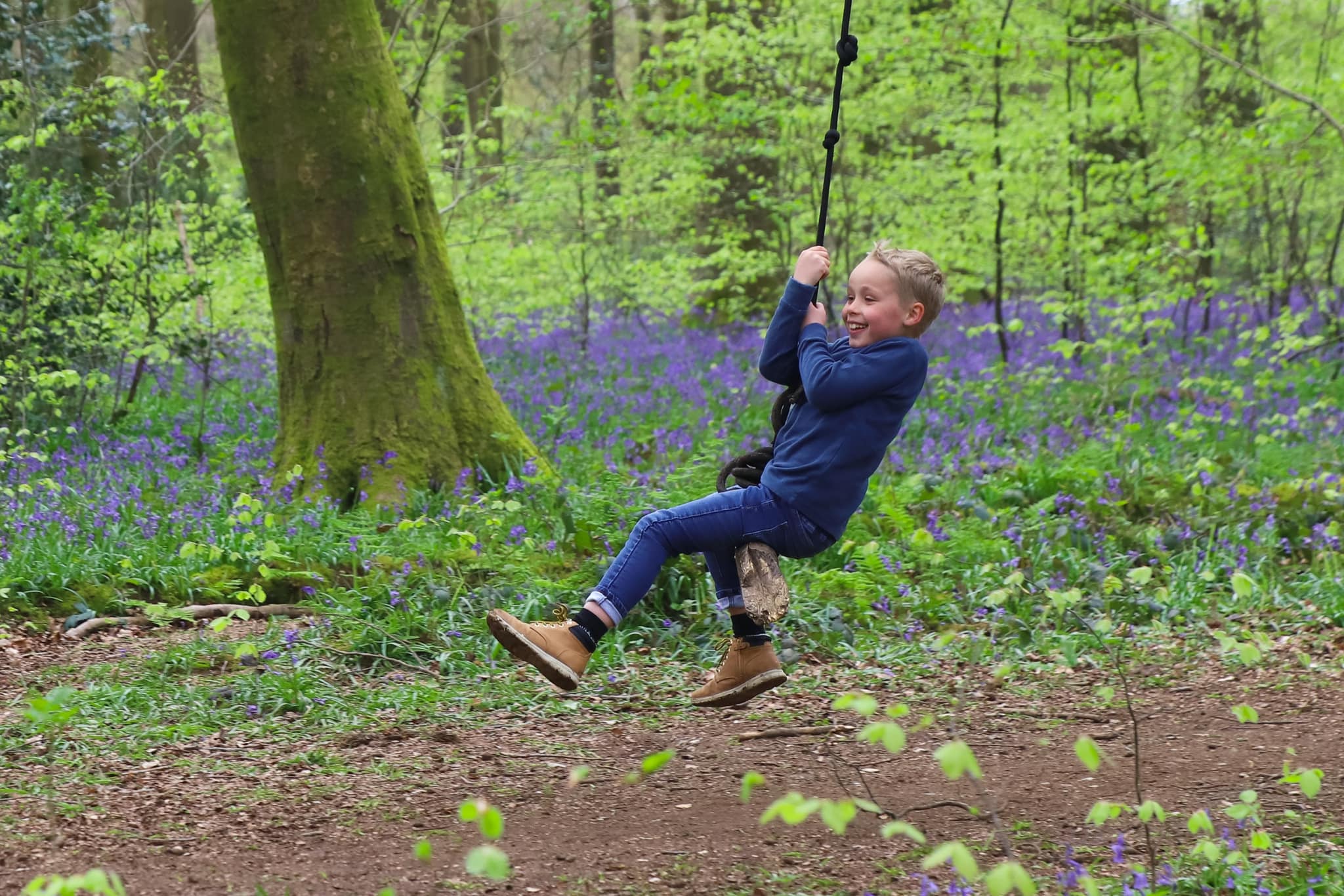 Young boy on a swing among bluebells