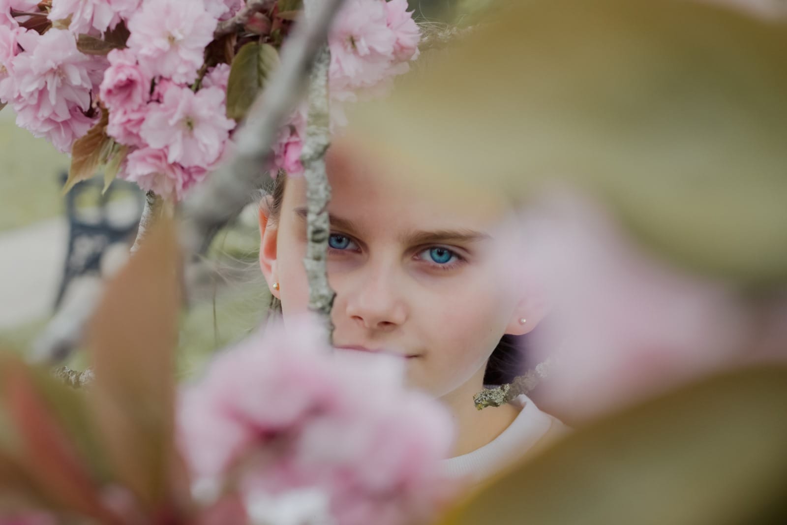 Portrait of a girl among spring blossom