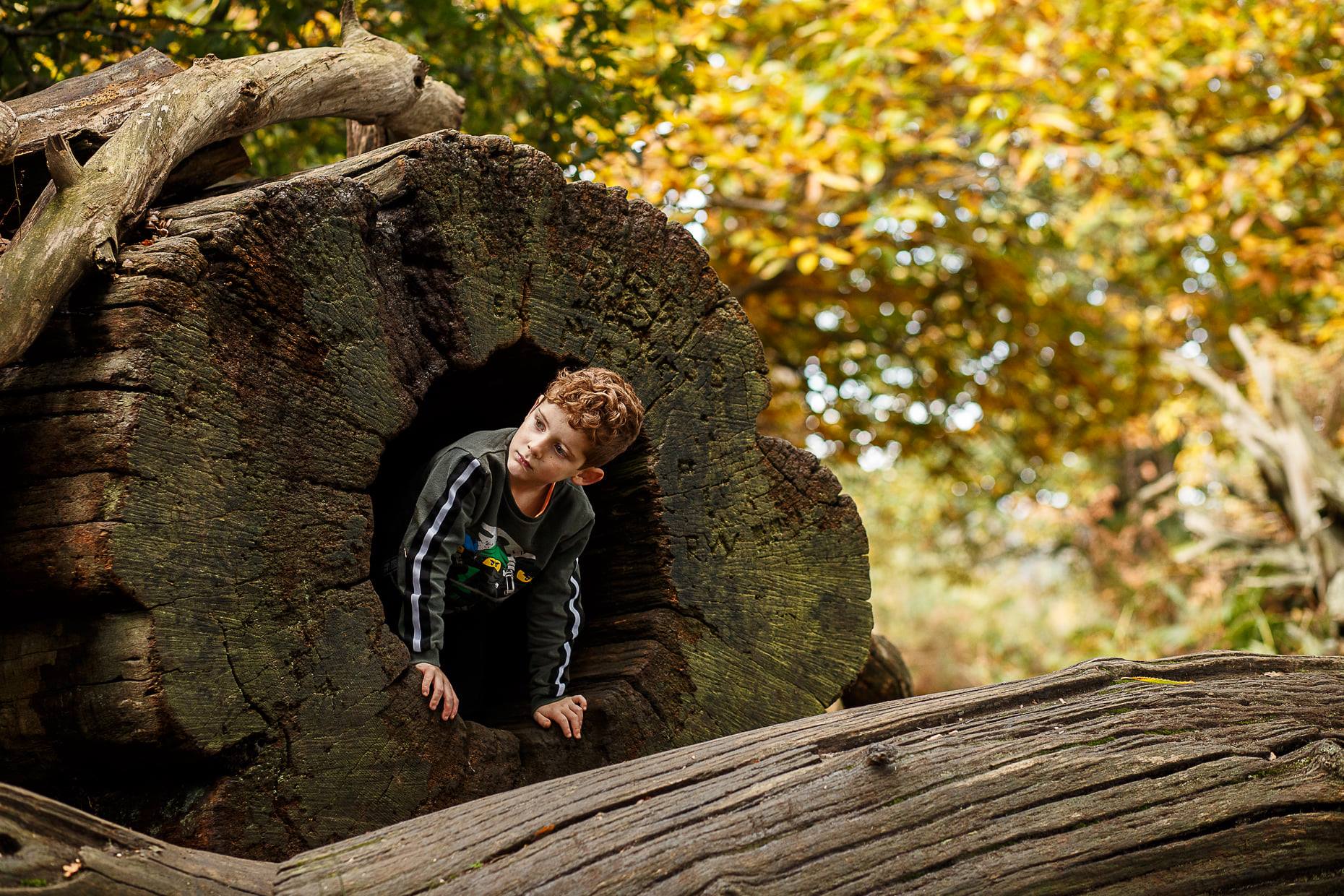 Autumn woodland exploring by Sarah honey 2 Autumn light photography lessons