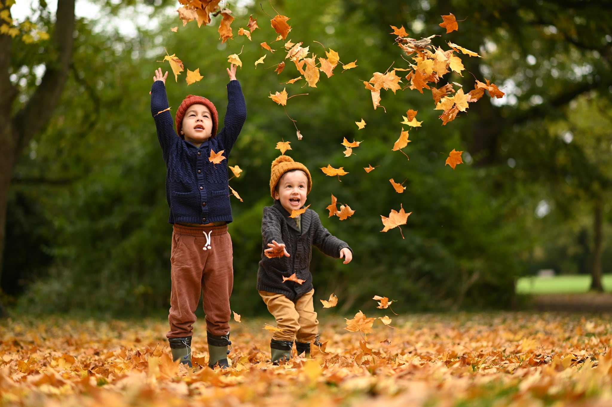 jana leaves picture of children throwing autumn leaves up in the air